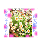 開運スピリチュアル 使うほどに開運♡（個別スタンプ：5）