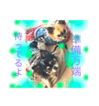 開運スピリチュアル 使うほどに開運♡（個別スタンプ：6）