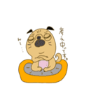 あたちパグのこうめ！！6（個別スタンプ：15）
