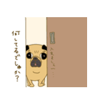 あたちパグのこうめ！！6（個別スタンプ：16）