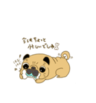 あたちパグのこうめ！！6（個別スタンプ：19）