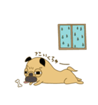 あたちパグのこうめ！！6（個別スタンプ：21）
