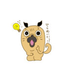あたちパグのこうめ！！6（個別スタンプ：24）