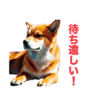 柴犬たちの気持ち（個別スタンプ：4）
