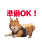 柴犬たちの気持ち（個別スタンプ：5）