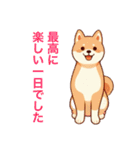 柴犬たちの気持ち（個別スタンプ：13）