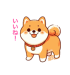 柴犬たちの気持ち（個別スタンプ：16）