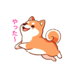 柴犬たちの気持ち（個別スタンプ：19）