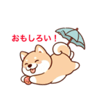 柴犬たちの気持ち（個別スタンプ：20）