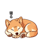 柴犬たちの気持ち（個別スタンプ：23）