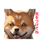 柴犬たちの気持ち（個別スタンプ：29）