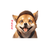 柴犬たちの気持ち（個別スタンプ：34）