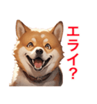 柴犬たちの気持ち（個別スタンプ：37）