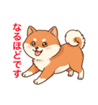 柴犬たちの気持ち（個別スタンプ：39）