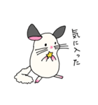 こやぎのめーとチンチラのマル（個別スタンプ：38）