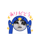 動く猫スタンプ♥日常♥使いやすい♥挨拶♥（個別スタンプ：3）