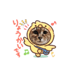 動く猫スタンプ♥日常♥使いやすい♥挨拶♥（個別スタンプ：6）