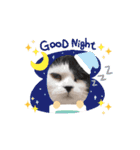 動く猫スタンプ♥日常♥使いやすい♥挨拶♥（個別スタンプ：16）