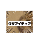 動くルゥ（茶トラ猫）のスタンプ（個別スタンプ：11）