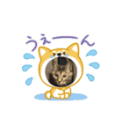 ハッシーの猫ちゃんฅ•ω•ฅ（個別スタンプ：7）