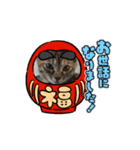 ハッシーの猫ちゃんฅ•ω•ฅ（個別スタンプ：15）