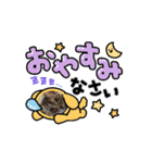 ハッシーの猫ちゃんฅ•ω•ฅ（個別スタンプ：16）
