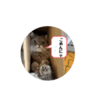 MALUのまったりライフ8（個別スタンプ：8）