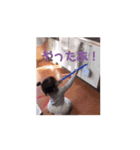 はる✖︎なつ2（個別スタンプ：7）