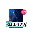 橘屋虎舞龍E（個別スタンプ：5）