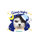 動く猫スタンプ♡日常♡使いやすい挨拶♡（個別スタンプ：16）