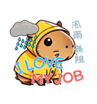 カピバラの生活 (漢字) Ver2（個別スタンプ：2）