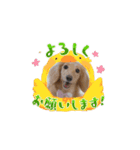 いとちゃん ④（個別スタンプ：2）
