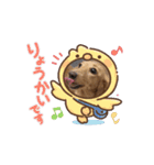 いとちゃん ④（個別スタンプ：3）