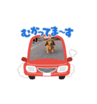いとちゃん ④（個別スタンプ：7）