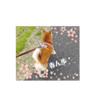 続ドールン家のベイビーズ（個別スタンプ：3）