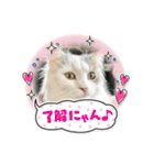 面白スタンプ(ネコ、ウサギ)（個別スタンプ：4）
