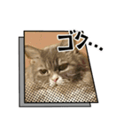 面白スタンプ(ネコ、ウサギ)（個別スタンプ：23）