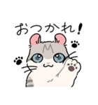 ぽてぽてのキャロ！（個別スタンプ：5）