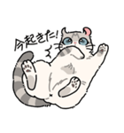 ぽてぽてのキャロ！（個別スタンプ：29）