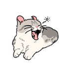 ぽてぽてのキャロ！（個別スタンプ：36）