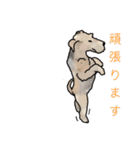 みんなだいすき「マグ」！（個別スタンプ：13）