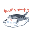 たくさんえいちゃん（個別スタンプ：17）