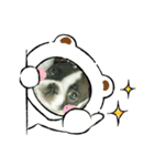 ボストンテリアのかわいい子犬1（個別スタンプ：19）