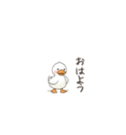 毎日使えるちびアヒルスタンプ（個別スタンプ：2）