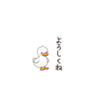 毎日使えるちびアヒルスタンプ（個別スタンプ：7）