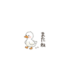 毎日使えるちびアヒルスタンプ（個別スタンプ：8）