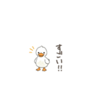 毎日使えるちびアヒルスタンプ（個別スタンプ：24）