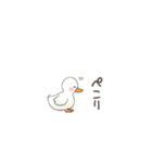 毎日使えるちびアヒルスタンプ（個別スタンプ：29）