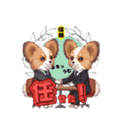 パピヨン犬 一年スタンプ あると助かる編（個別スタンプ：3）