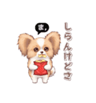 パピヨン犬 一年スタンプ あると助かる編（個別スタンプ：4）